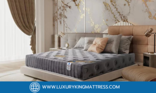 ที่นอนพ็อกเก็ตสปริง กับ ที่นอนสปริง แบบไหนดีกว่ากัน?