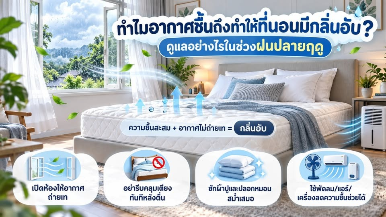 ทำไมที่นอนมีกลิ่นอับช่วงหน้าฝน? 5 วิธีดูแลที่นอนให้สะอาด | LUXURYKING MATTRESS