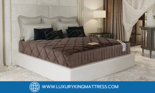 เปลี่ยนที่นอน... เปลี่ยนชีวิต! ทางเลือกแก้อาการปวดหลังที่คุณไม่ต้องไปหาหมอ