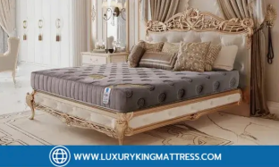 ที่นอนยางพารา 7 Zone : ทางเลือกที่ดีที่สุดสำหรับสุขภาพการนอนของคุณ