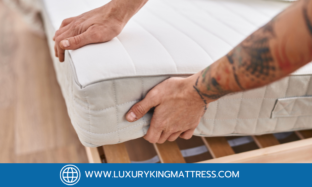 ที่นอนยางพาราดีอย่างไร? ทำไมถึงเป็นที่นิยม