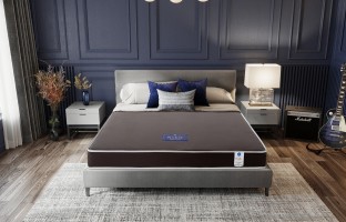 ที่นอน PE - หนัง PVC