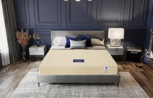 ที่นอน PE - หนัง PVC