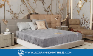 รีวิวที่นอนเพื่อสุขภาพรุ่นขายดี 'รุ่น Picasso' หลับสบาย ไร้อาการปวดหลัง