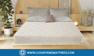 ที่นอนสปริง VS ที่นอนยางพารา ต่างกันอย่างไร มาหาคำตอบกัน