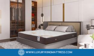 ที่นอนพ็อกเก็ตสปริง กับ ที่นอนสปริง ต่างกันอย่างไร?